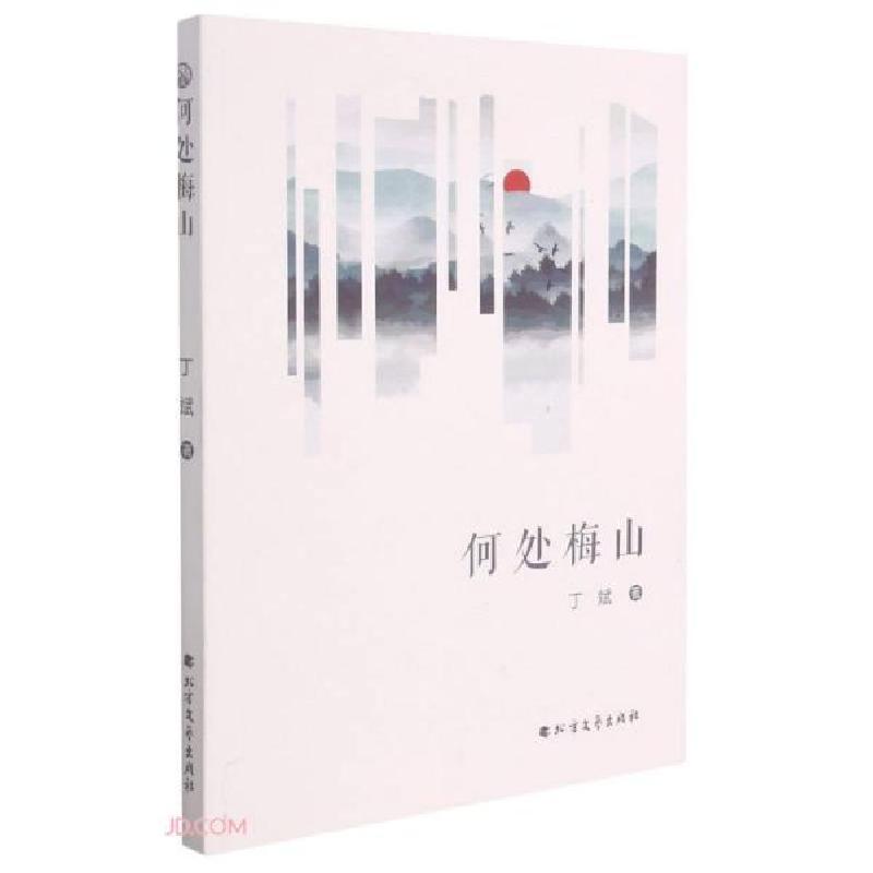 正版新书]何处梅山丁斌著9787531751458高清大图