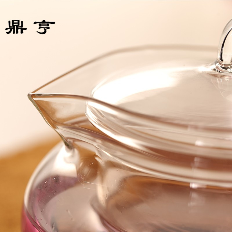 鼎亨茶壶玻璃过滤透明耐热功夫水果花茶煮普洱咖啡特价(神来壶