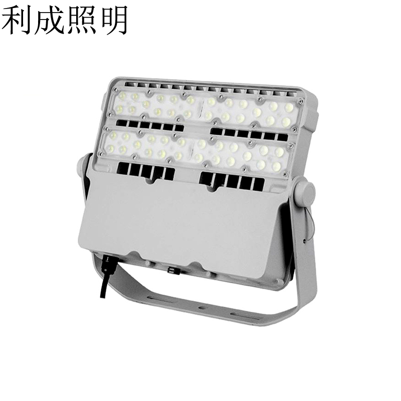 利成照明 泛光灯 100W