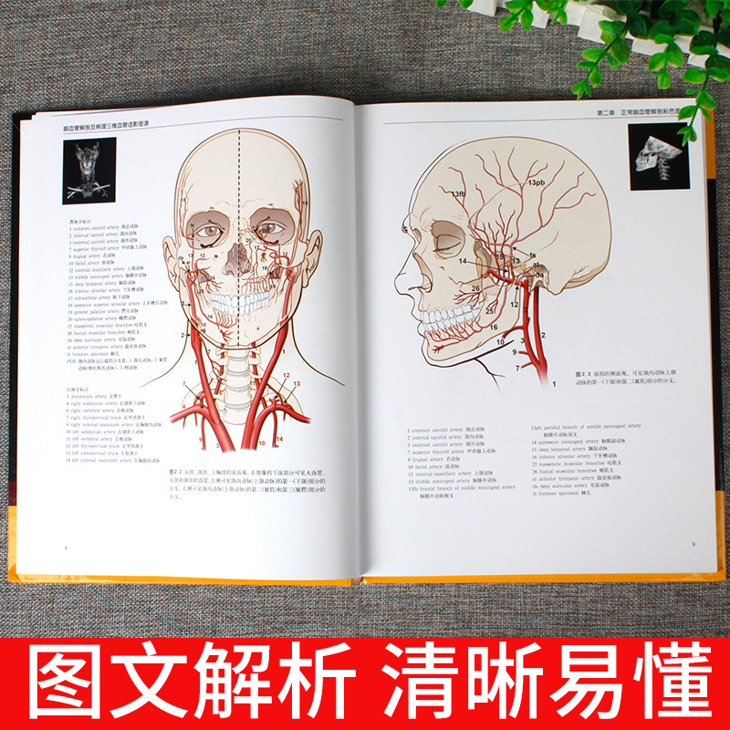 [正版] 脑血管解剖及病理三维血管造影图谱 人体脑血管解剖学图谱 神经外科医生技术参考书 颈部颅内动脉静脉医学书 脑血高清大图