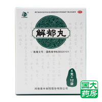 康祺 解郁丸 4g*12袋
