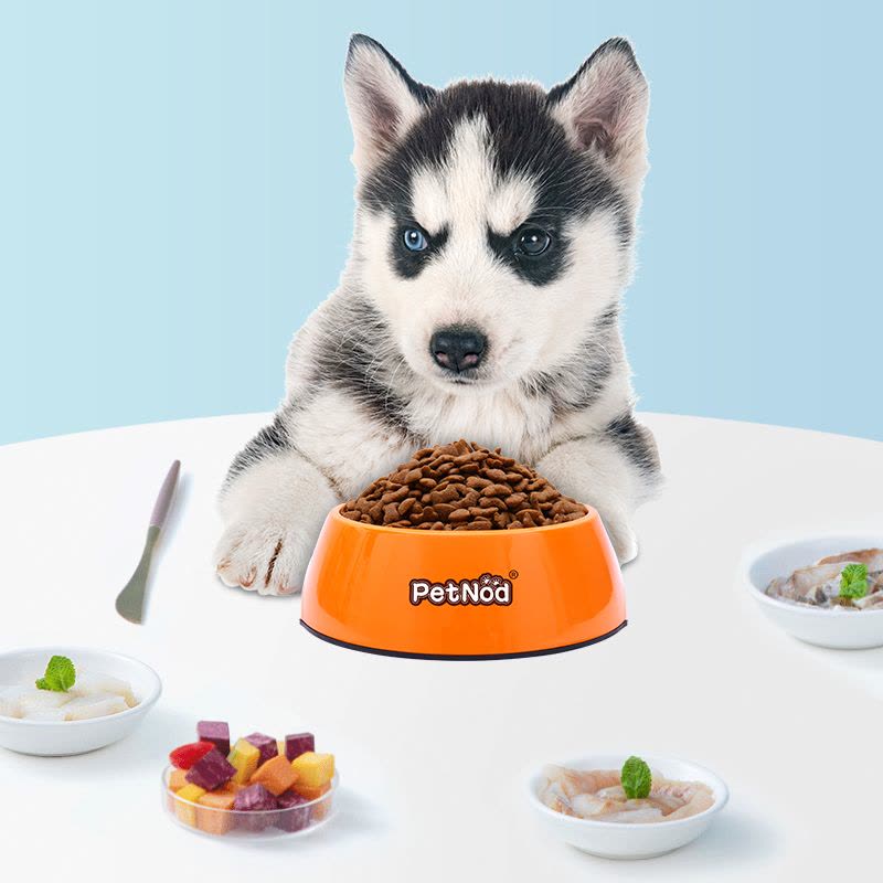 诺旦狗粮幼犬粮20斤中大型犬粮德国益生菌(适合2岁以下)金毛哈士奇拉布拉多幼犬图片