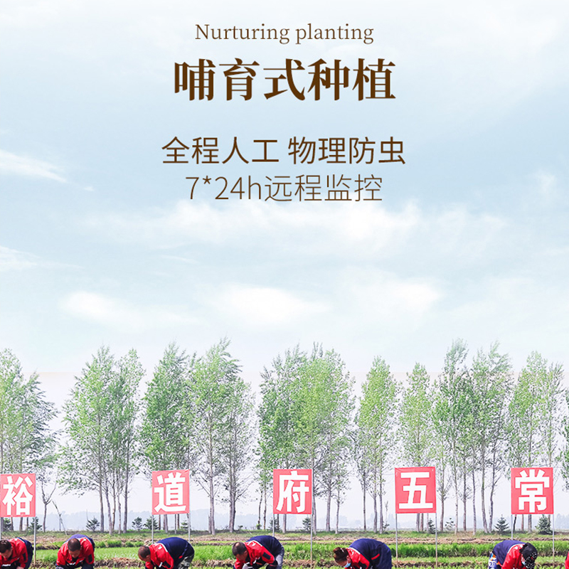 裕道府 湿地鸭田长粒香 5kg高清大图