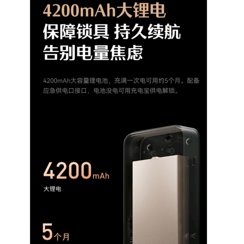 德施曼智能锁Q2F