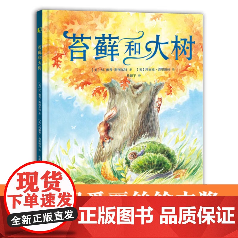 苔藓和大树高清大图