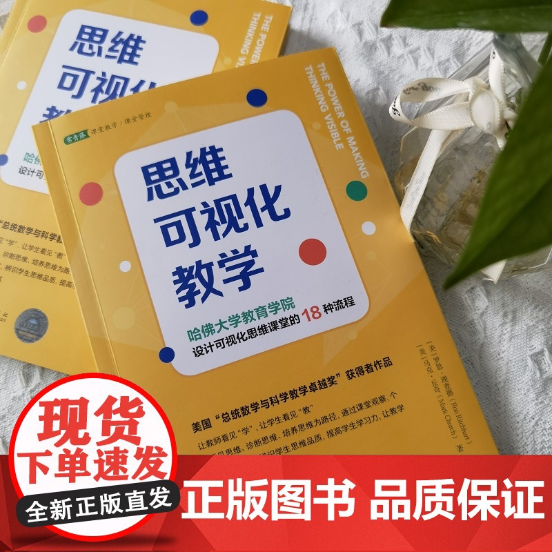 思维可视化教学:哈佛大学教育学院设计可视化思维课堂的18种流程一本书让你快速掌握思维可视化及落地到课堂教学实践的教学技能高清大图