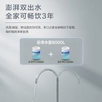 海尔(Haier) 净水器家用净水机1000G大通量直饮机RO反渗透纯水机 厨下式HRO10H06-2U1