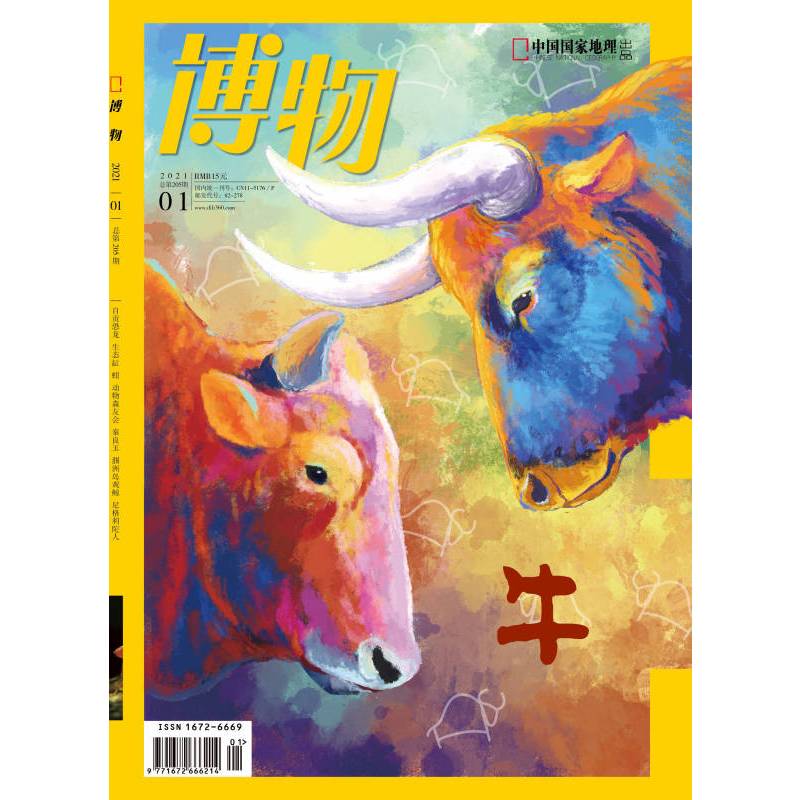 [正版]闪电博物杂志(2021年1月 )牛族动物 追踪云南野牛 盘点奇特家牛 斗鱼情仇 食人族后代