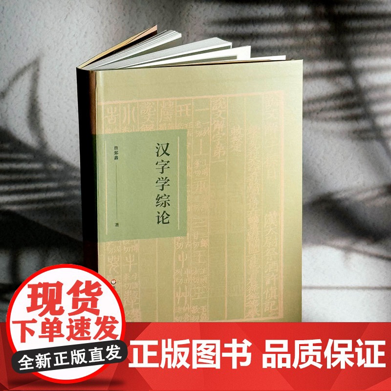 汉字学综论 詹鄞鑫著 汉字研究 汉字的起源和演变 汉字学研究个案介绍 汉字文化 精装 正版 华东师范大学出版社高清大图