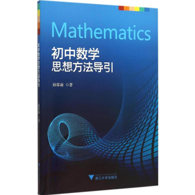 11初中数学思想方法导引978730814653122