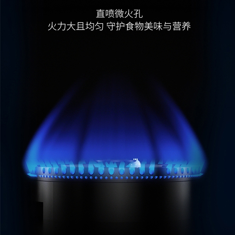 顾享(Guxiang)厨卫电器 台嵌两用式燃气灶 大火力燃气灶 GX233