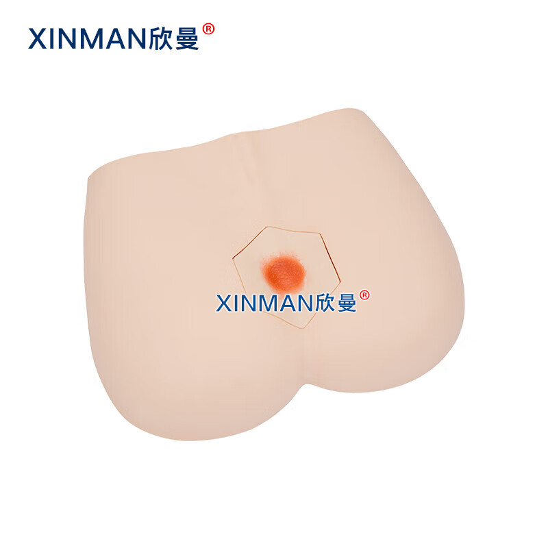 欣曼科教 阶段褥疮护理模型 压疮护理仿真模型XM-H91高清大图