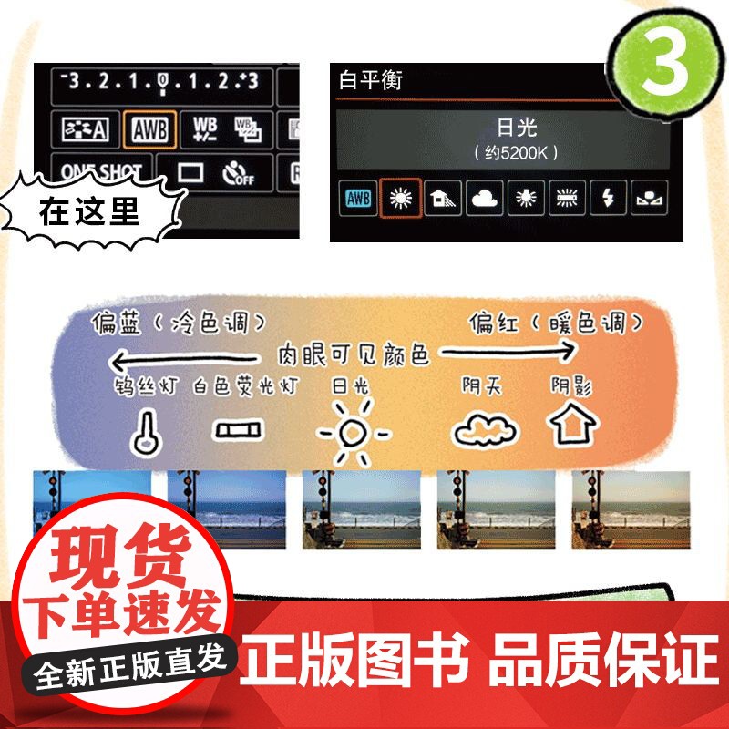 小白学摄影 一本再简单不过的摄影入门书拍照轻松学会摄影书籍 单反教程相机摄影教学手机从入门到精通零基础自学摄影书籍高清大图