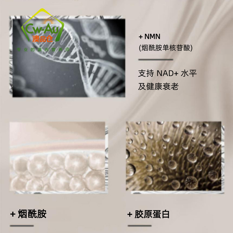 Arravite NMN 烟酰胺单核苷酸 每份含150mg NMN 2g*10袋 维持NAD+水平 澳洲进口高清大图