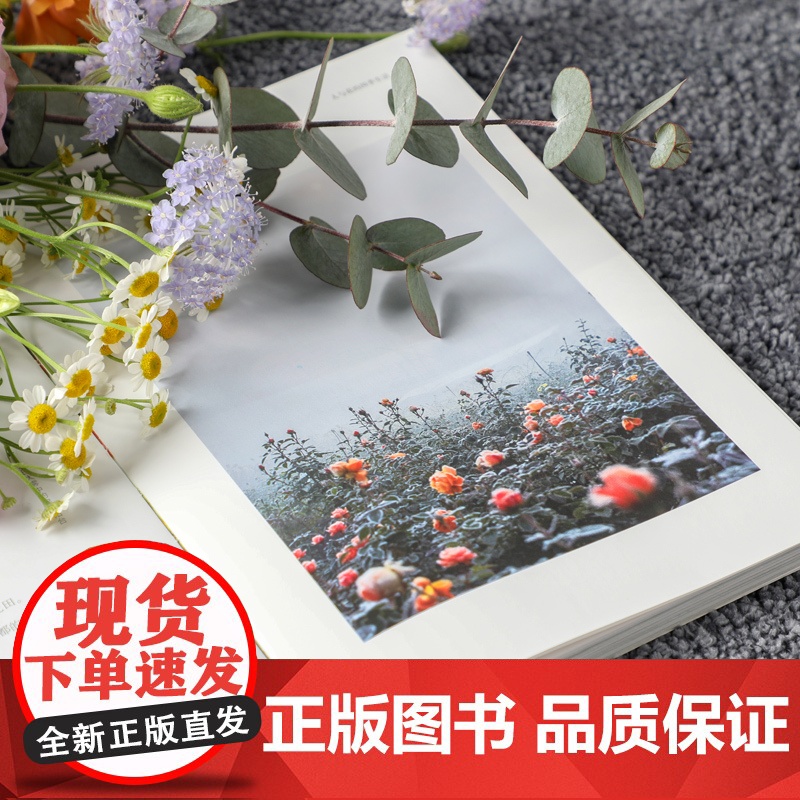 海蒂的花园 海妈著 花草园艺 生活 15个从一片荒芜到花开满园的造园故事 花园梦 植物种植 园艺装饰 花草园艺 生活高清大图