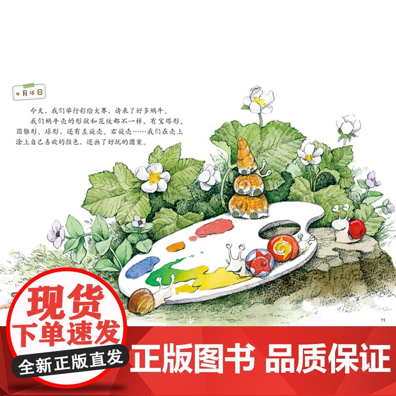 蜗牛的日记我的日记系列单本精装绘本图画书适合3岁以上幼儿园读物中少社出版正版童书高清大图