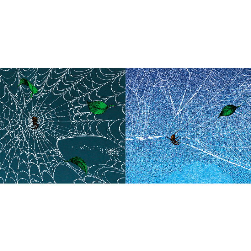 正版新书]蜘蛛——(启发童书馆出品)文/图:﹝日﹞新宫晋97875高清大图