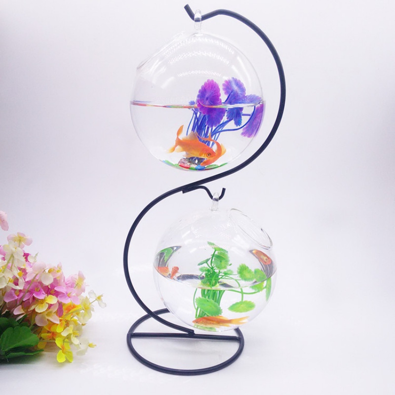 龍鳯鳥 Long Feng Bird 宠物日用小型新款迷你玻璃斗鱼缸创意悬挂办公桌面吊挂家居饰品金鱼瓶 摆件 价格图片品牌报价 苏宁易购洪园宠物用品专营店