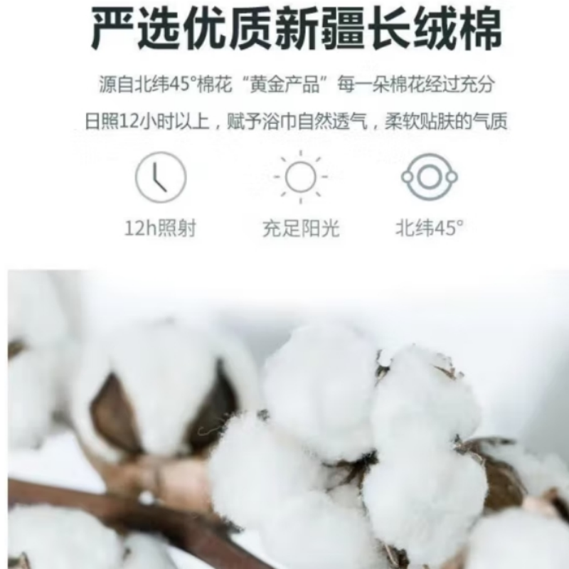 世纪金鹰32股纱纯棉白毛巾成人面巾100g/条 100g高清大图
