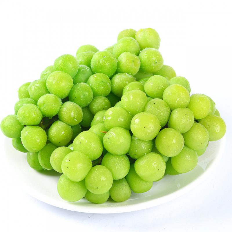 顺丰新西兰佳沛金果12只装单重约130g进口心奇异果猕猴桃新鲜水果视频