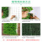 绿植墙仿真植物草坪墙 凤尾草加密草坪