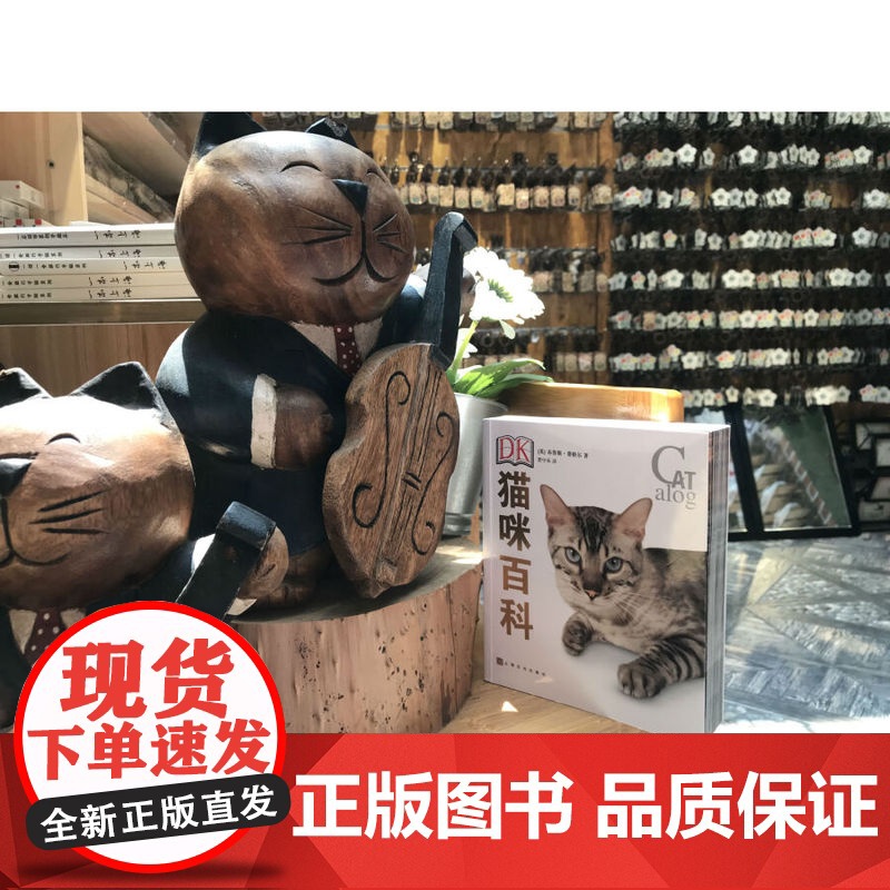 DK猫咪百科 宠物百科猫奴铲屎官工具书纯种猫图解百科全书科学喂养呵护猫咪理解习性选择爱猫伴侣动物行为学家 上海文化出版社高清大图