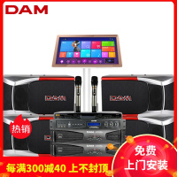dam 860 高配套装KTV卡包音箱专业KTV酒吧家庭卡拉OK音箱 会议舞蹈室 晚会主持 户外唱歌比赛表演