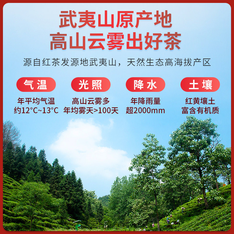 艺福堂悠叶正山小种礼盒300g/盒特级高清大图