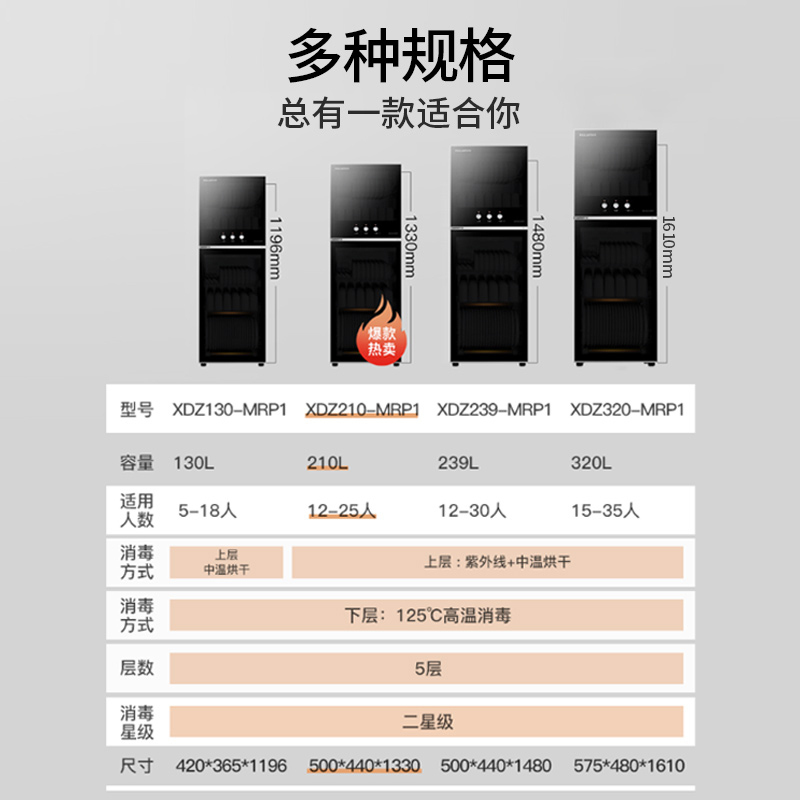 康宝(Canbo)/耐惠(NAAFI)消毒柜 家用立式双门高温二星级消毒 碗筷消毒柜XDZ210-MRP1
