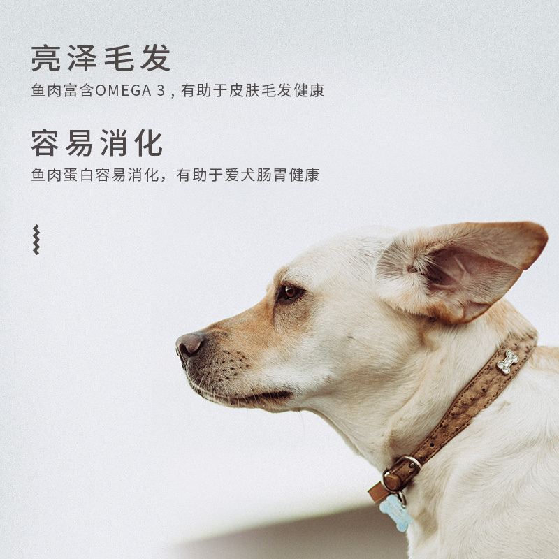 海洋之星深海鱼成犬1.5kg天然无谷狗粮泰迪博美中小型犬粮通用型