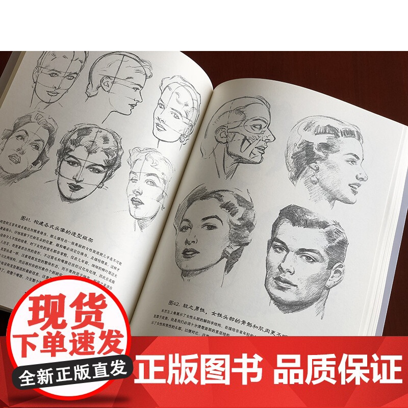 路米斯经典美术课 头手素描/西方经典美术技法译丛 安德鲁·路米斯 头与手的素描 素描从入门到精通书籍 上海人民美术出版社高清大图