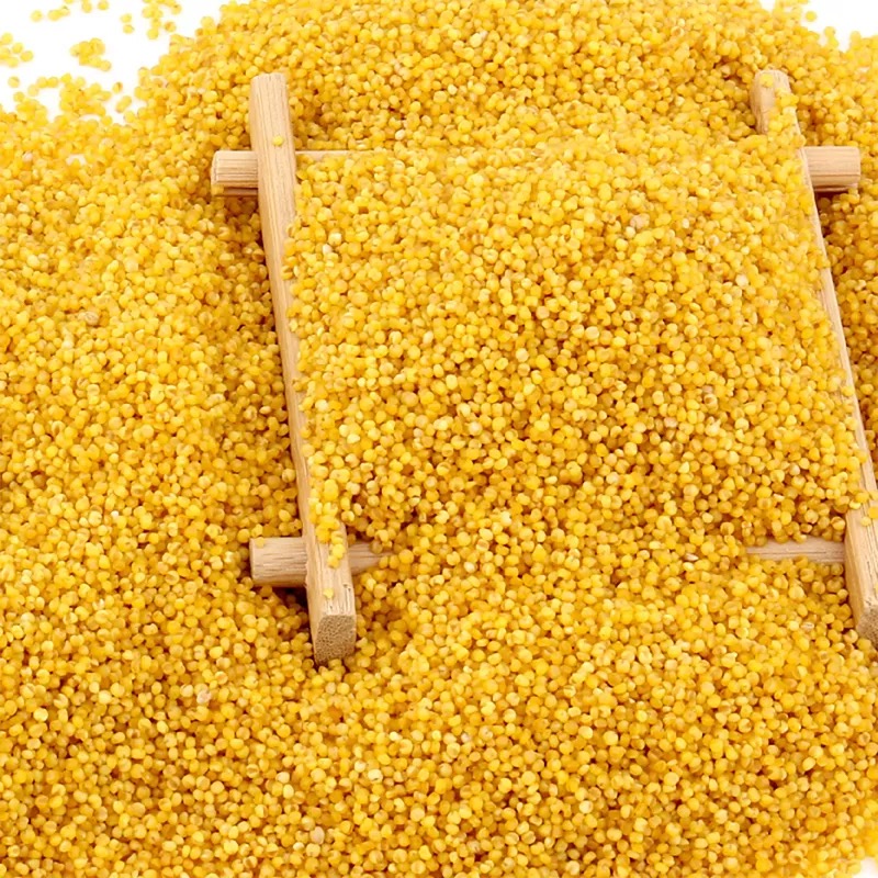 艾提尕小米5kg/袋高清大图