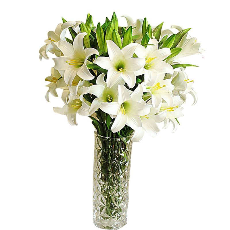 纳爱家 Naaijia 装饰摆件仿真花束百合花单支塑料花假花插花绢花客厅摆设装饰花 三花两蕾白色 价格图片品牌报价 苏宁易购飞胜凯家居专营店