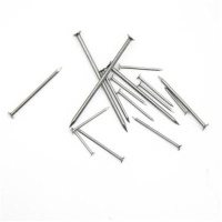 小器鬼 钉子洋钉铁钉钉子 水泥钉铁钉8#