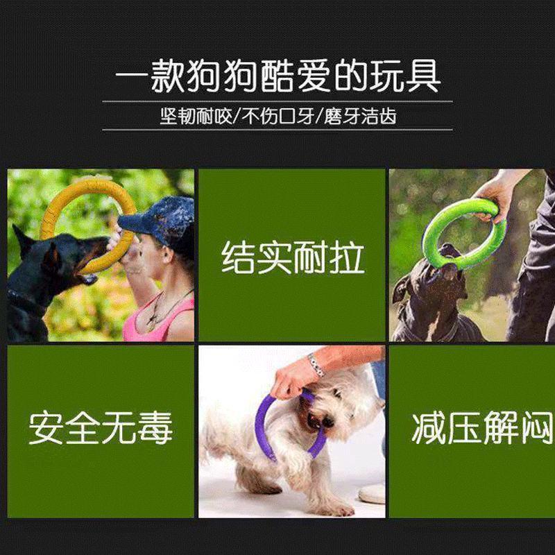 小拉环一个（建议5斤以下小狗使用） 训犬拉环狗狗耐咬啃咬咬环宠物玩具边牧泰迪金毛训练拽环训狗用品