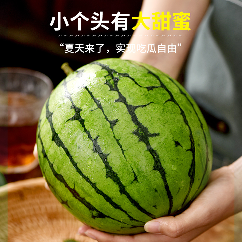 [苏鲜生]新鲜2k西瓜 5-5.5斤 1-2个高清大图