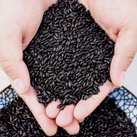 燕之坊 珍贡黑米 心意系列 五谷杂粮 1kg 量贩装(真空包装)
