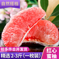 红心柚子1个尝鲜装约2-3斤蜜柚红肉柚子当季新鲜水果