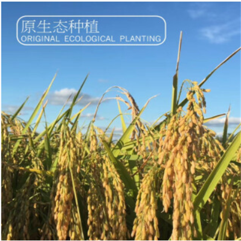 米妹妹五常稻花香大米(清香型)5kg