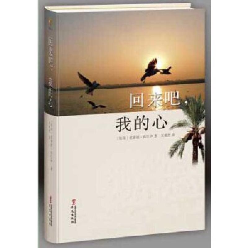 正版新书】《回来吧,我的心》(埃及)西巴伊9787507545197