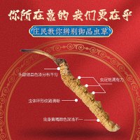 庄民 冬虫夏草 龙凤礼盒装 冻干高洁净 高品质精选 4条/g 优级 层层筛选饱满无断草无空草滋补品10克