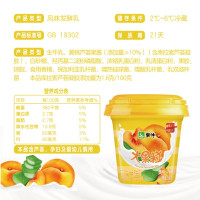 蒙牛大果粒酸牛奶芦荟黄桃果粒三角杯260g