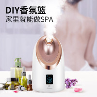 美克斯(MKS)蒸脸器 NV8385触屏补水保湿仪家用美容仪器冷热香薰蒸脸器 脸部加湿器 防尘蒸脸仪补水仪
