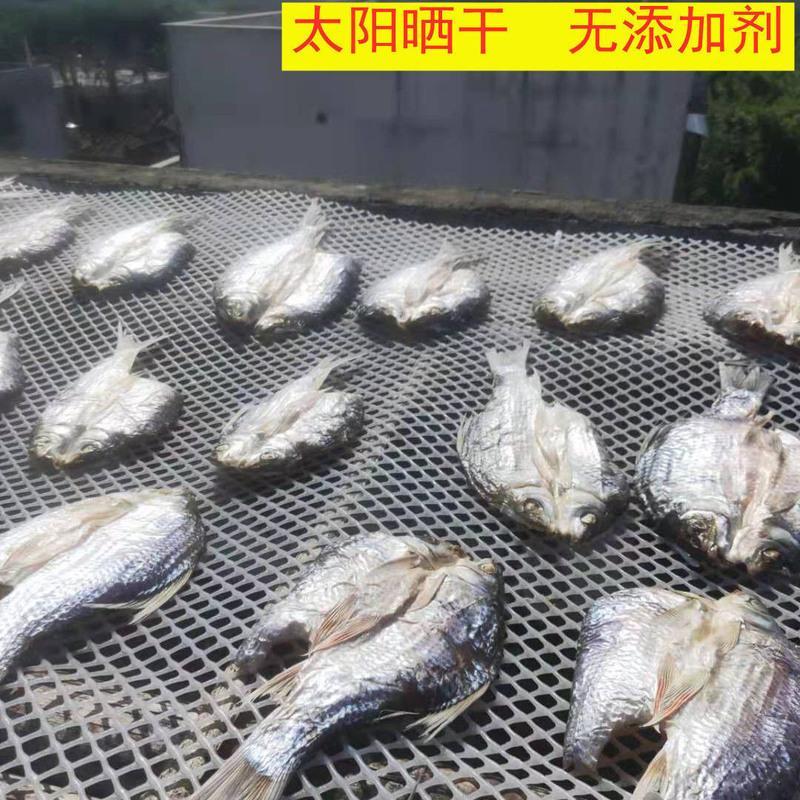赛卡伊 大溪客家自晒整条鲮鱼干广式咸鱼腊鱼生晒良鱼干货风干凌鱼纯