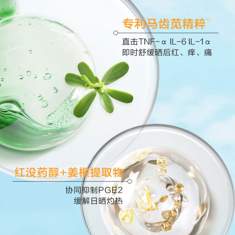 薇诺娜清透防晒乳SPF48PA+++50g高清大图