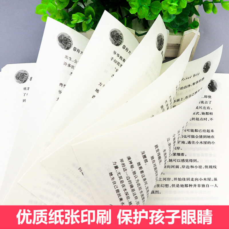 海蒂的天空 [正版]小河男孩纽伯瑞国际大奖儿童文学小说系列全套集升级版小学生三四五六年级课外阅读经典书籍新蕾出版社目常青高清大图