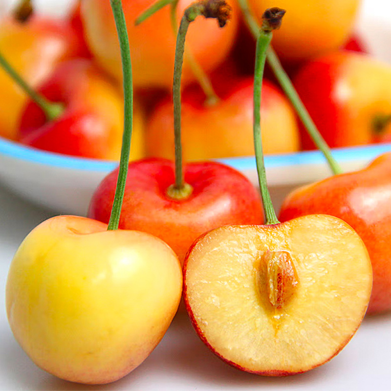 顺丰快递[西沛生鲜]新鲜智利黄金车厘子 净重4斤 J级 新鲜水果 大樱桃 酸甜可口 西沛高清大图