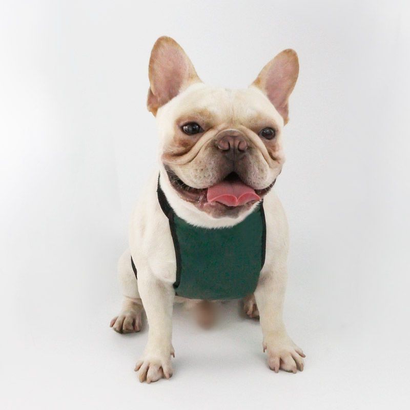 法斗泰迪四季护肚子防着凉防脏围兜升级版男款肚兜绿色防水xs>800_800