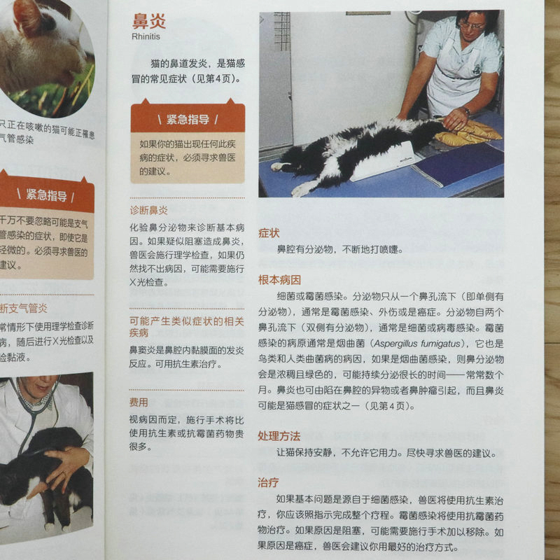 [正版图书]2册 萌猫养护全程指导+猫咪疾病快速诊断与处理 宠物饲养手册新手养猫入门猫咪养护百科书籍