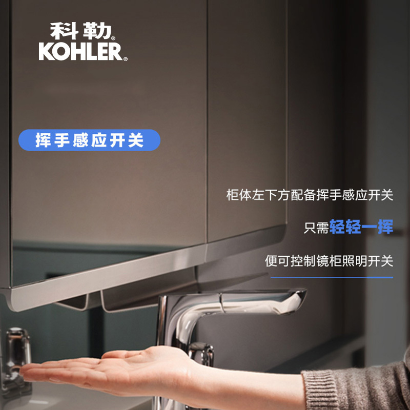 科勒浴室镜柜亲悦带灯梳洗化妆浴室壁挂式防雾镜柜K-30011T高清大图